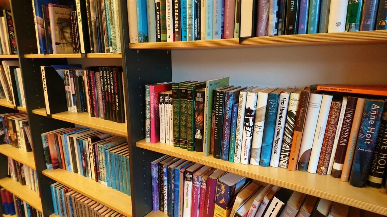 Bokhylle i biblioteket på Slåtthaug vgs.